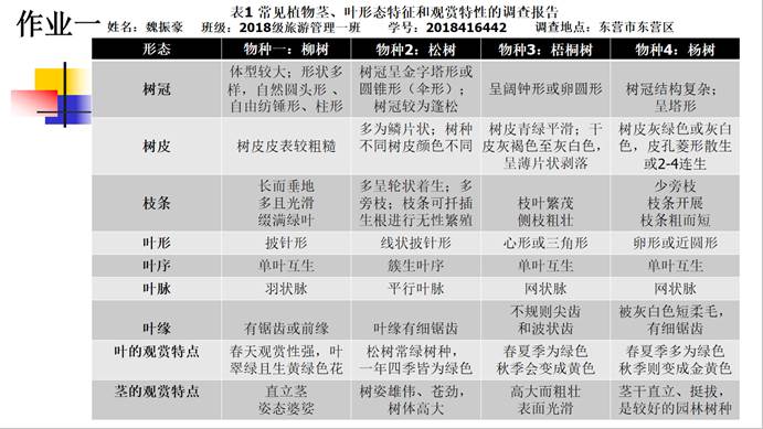 QQ图片20200311205654